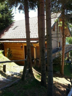 Ferienhaus Sieglinde in Klippitztörl